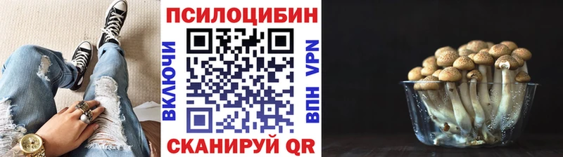 мега вход  Похвистнево  Псилоцибиновые грибы Cubensis 