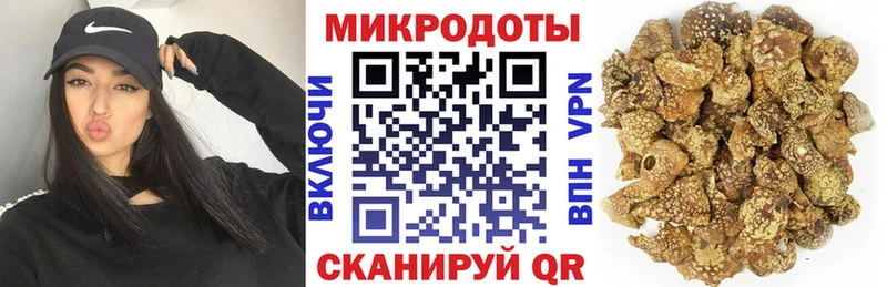 Галлюциногенные грибы Psilocybe Похвистнево